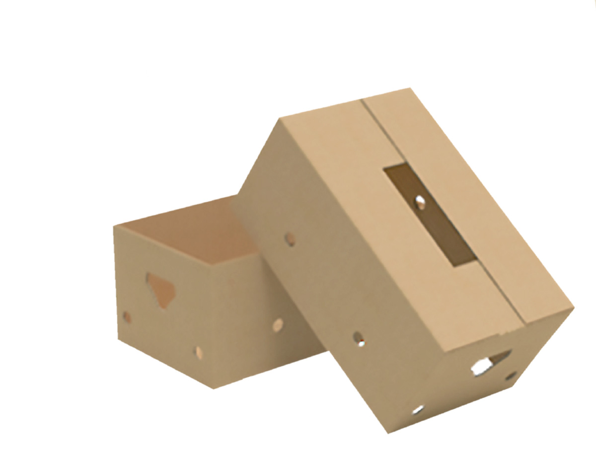 Create Half Slotted Paper box from Cardboard